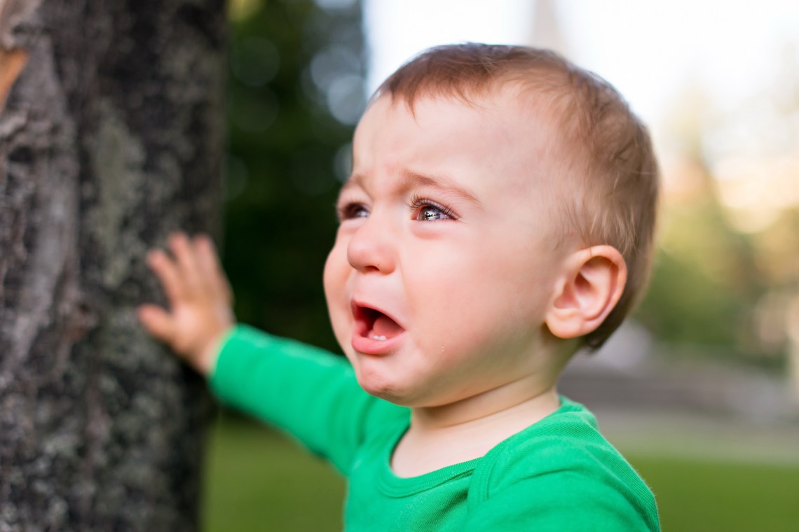 shutterstock_261417614.jpg